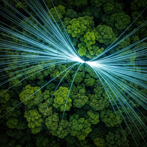 Mocoa se transforma con la nueva red de fibra óptica de 600 Mbps